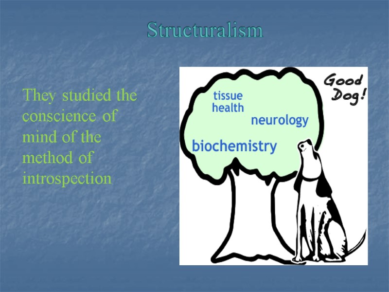 Structuralism  They studied the conscience of mind of the method of introspection